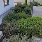 Casa Da Falesia * アルマダ